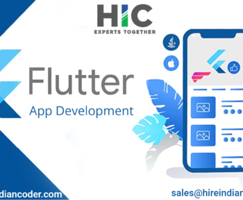 flutter web app development